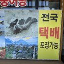 최대감벌교꼬막