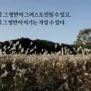 삼일영이 이미지