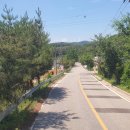 다방1리마을회관 이미지