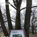 대전 산성봉~성재봉~계족산 이미지