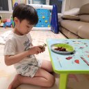 신곡 최강 태권도장 이미지