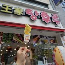 [강원도 속초 뚜벅이 여행] 속초 중앙시장 먹거리_만석닭강정 코끼리 분식 막걸리 술빵 웨이팅 맛 후기