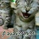 신세대 이미지