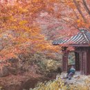 청운다방
