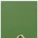 방산 낚시터 이미지