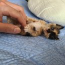 평산주유소 이미지