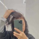 셀 헤어