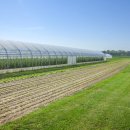 풍년농약종묘사 이미지