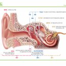 포낙보청기 진해점 이미지