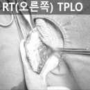 쥬만지동물의료센터 이미지