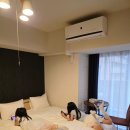 오사카 가성비 숙소 스테이앳 오사카 신사이바시 이스트 후기