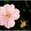 백산유통 이미지