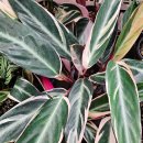 이광수농장 이미지