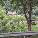 목면축산