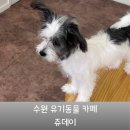 수원시동물보호센터정문 | 수원 데이트 놀거리 추천 광교 쥬데이 | 토끼부터 강아지까지 만나는 특별한 이색체험
