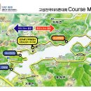 성나루횟집