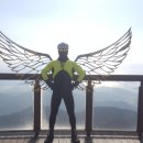 업힐 Daum카페