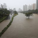 온천천일대6 이미지