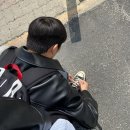 벚꽃🌸