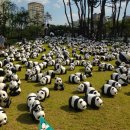 2017 MBC 가요대제전 에이핑크 팬덤 예상모습.jpg 이미지