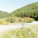 수목공인중개사사무소 이미지