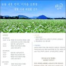 법인보롬왓