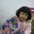 색조화_ 이미지
