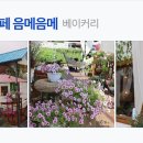 강원도 횡성군 교항로 이미지