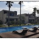 제주베아툼 이미지