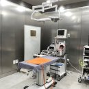 국제동물병원 | 노령견 진료로 찾아간 대구 24시간 동물병원 방문 후기