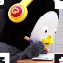 요기내 이미지