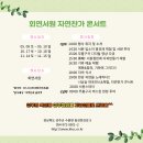 회연 Daum카페