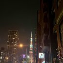 토케이패밀리 | 東京