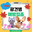 24시 수유 바른펫 동물의료센터 | 2024년 가을철 광견병 예방접종