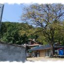 등산로(상) 이미지