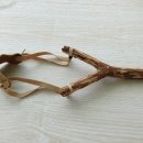 (주)예제나 이미지