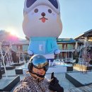 곤지암 리조트 스키장 렌탈샵 추천 후기