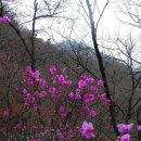 정릉21 이미지