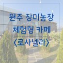 장미농장 | [원주] 로사넬라 - 장미 농장 체험형 카페 내돈내산 솔직후기
