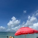 비진도시원한민박 이미지