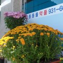 대동약품 이미지