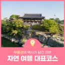 역사가 담긴 자연의 아름다움, 부울경 자연 여행 대표코스 (새로운 부울경 이야기 3편)