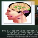 잉글리쉬무무 이미지