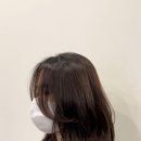 포레스트헤어 네이버블로그