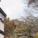 가꿀목장 이미지