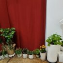 커피2.0랩(COFFEE 2.0 LAB)