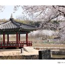 면천군자정 이미지