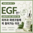 EGF 효능 | 피부과 재생크림에 꼭 들어가는 이유