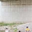 영우농장2 이미지