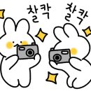 초읍동-15 이미지